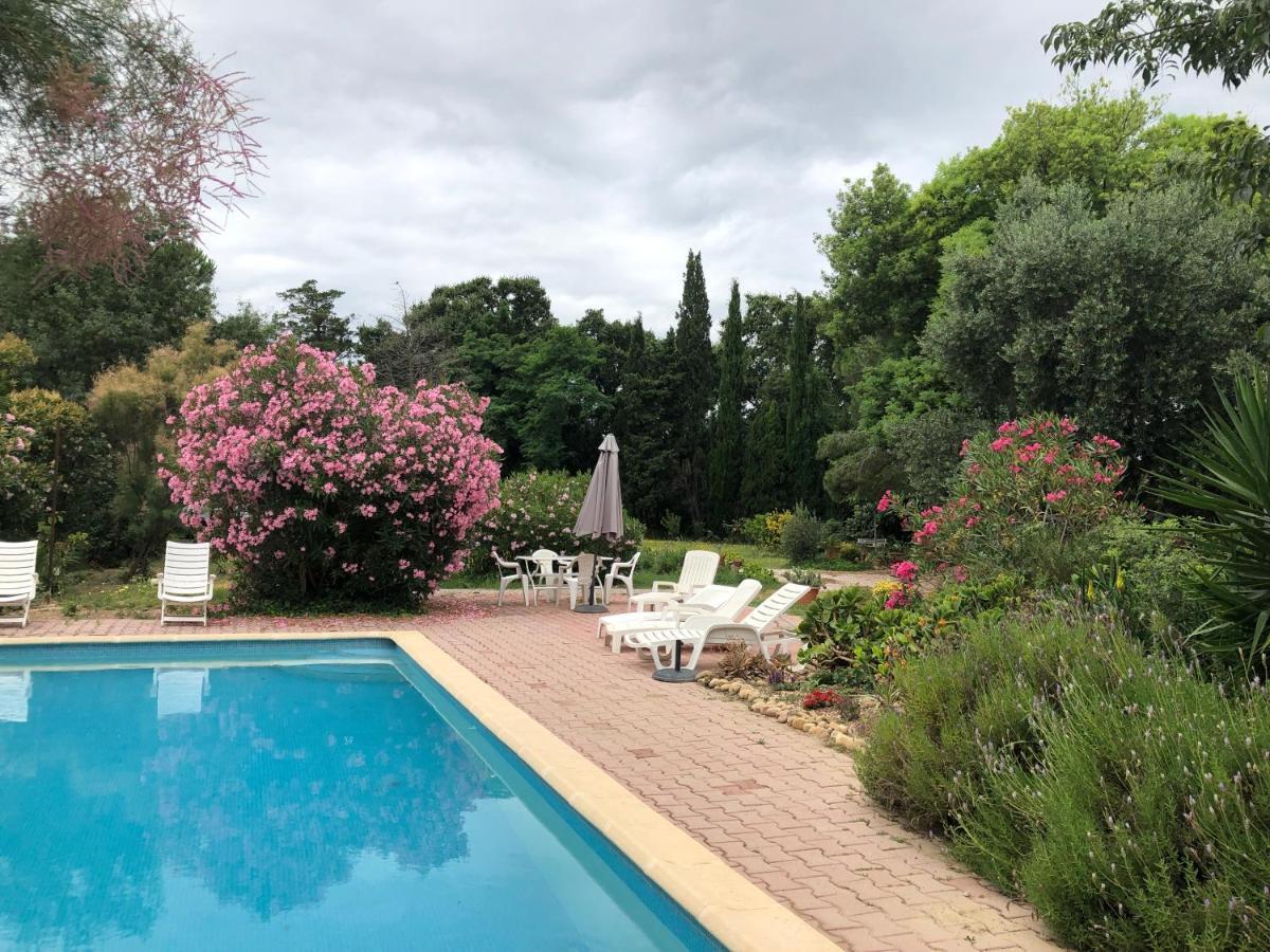 Duplex 130M2 Dans Un Mas Entoure De Vergers - Piscine Saint-Feliu-d'Avall Exteriér fotografie