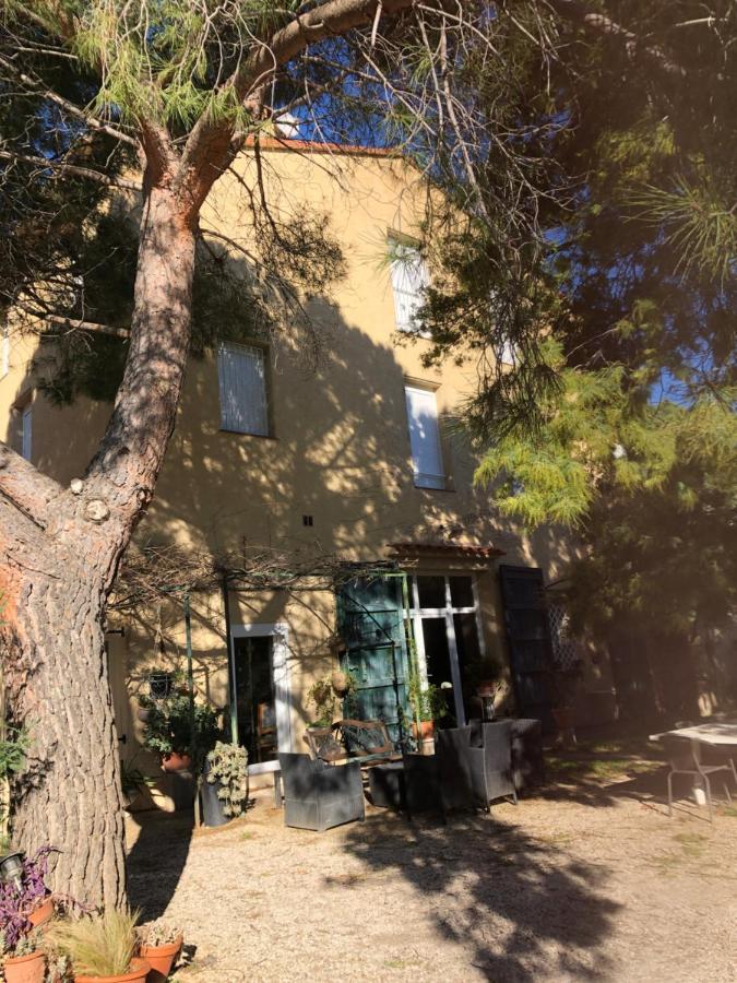 Duplex 130M2 Dans Un Mas Entoure De Vergers - Piscine Saint-Feliu-d'Avall Exteriér fotografie